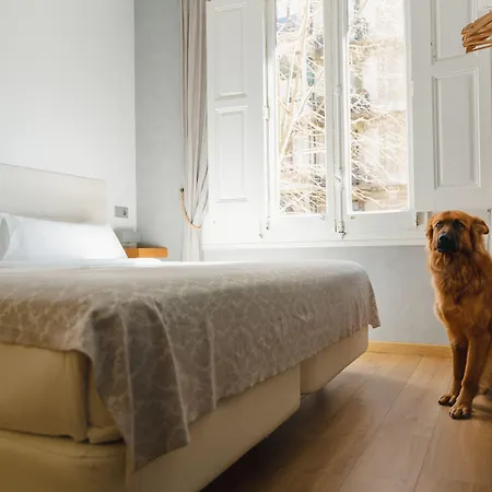 Cosmopolitan Boutique Rambla Gæstehus Barcelona