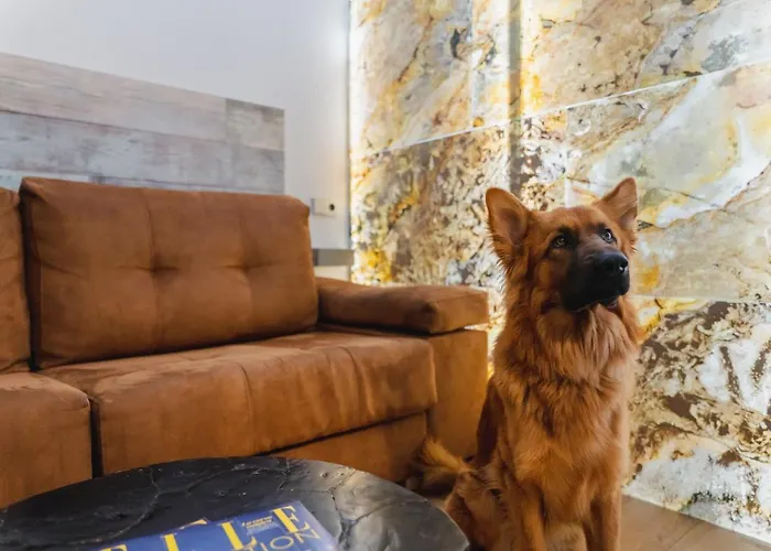 Cosmopolitan Boutique Rambla Gæstehus