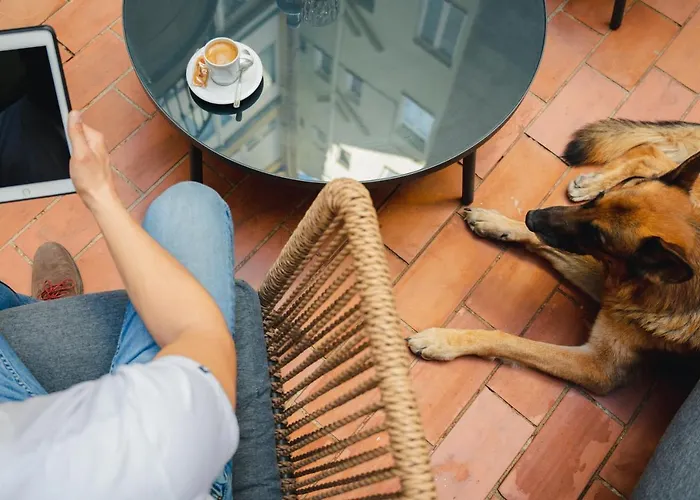 Gæstehus Cosmopolitan Boutique Rambla Barcelona