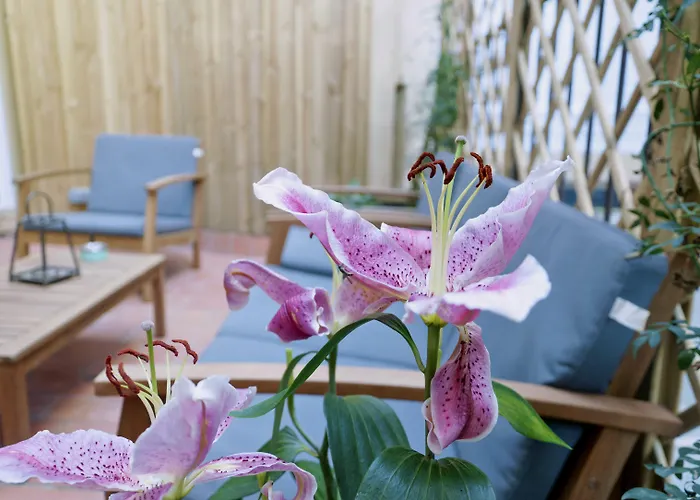 Gæstehus Cosmopolitan Boutique Rambla Barcelona