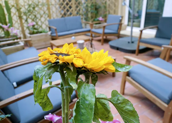 Cosmopolitan Boutique Rambla Gæstehus