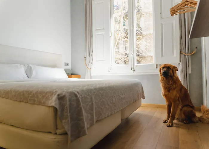 Cosmopolitan Boutique Rambla Gæstehus Barcelona